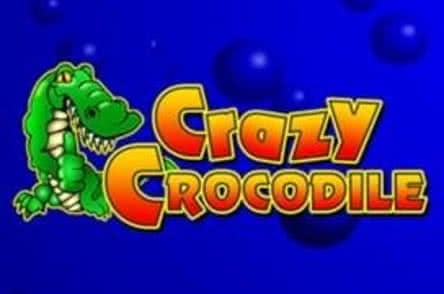Crazy Crocodiles